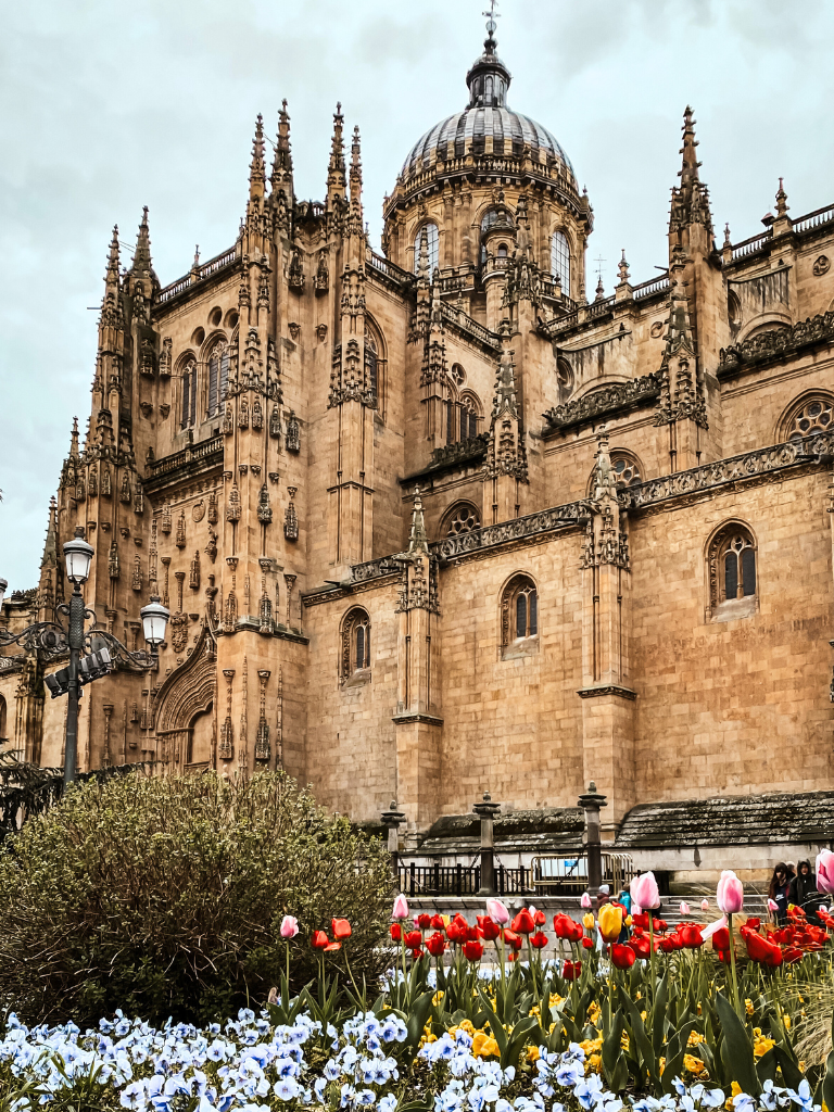 Catedral de Salamanca con orquídeas