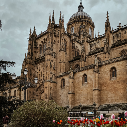 vistas de la catedral de Salamanca