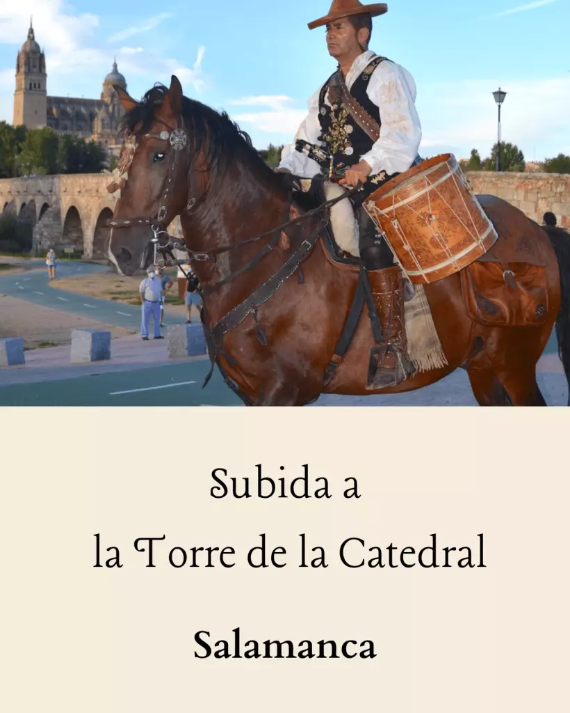 El mariquelo, agenda: subida a la torre de la Catedral